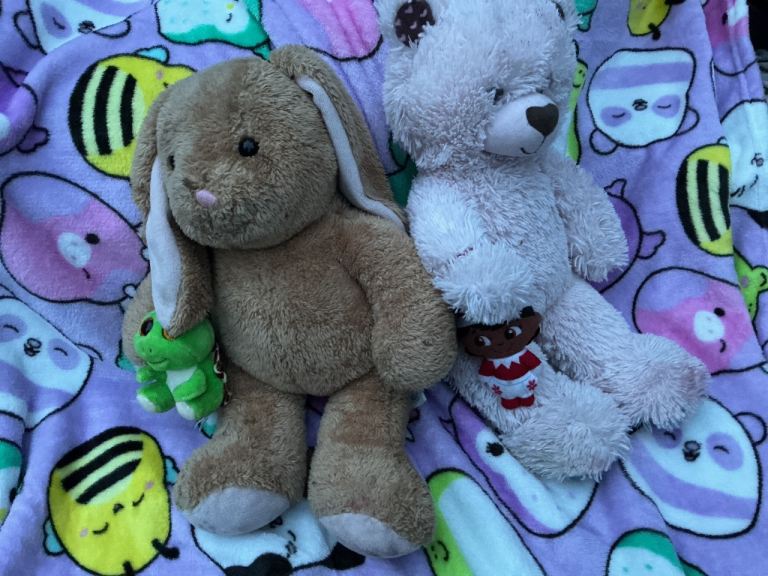 Cute Bunny and Bear Soft Toys 