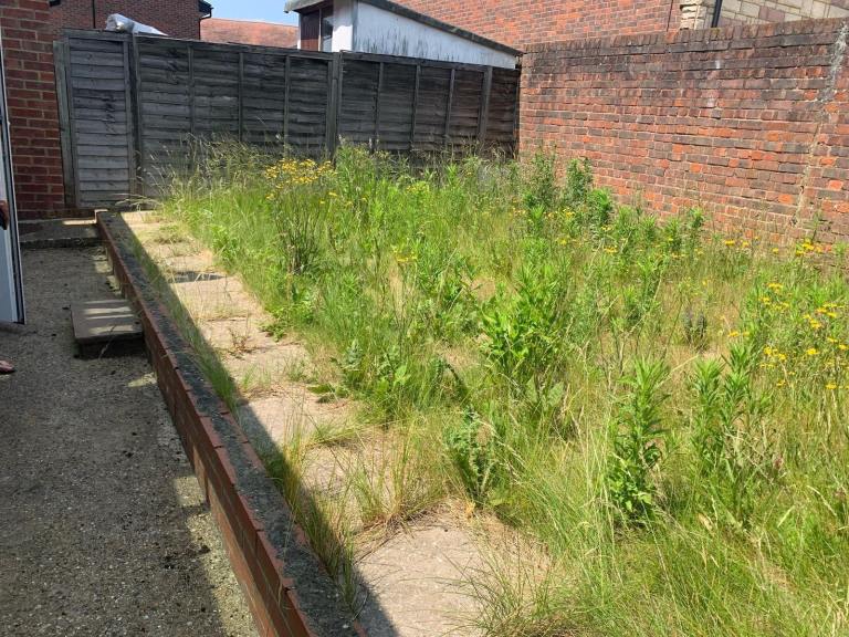 Gardening services 