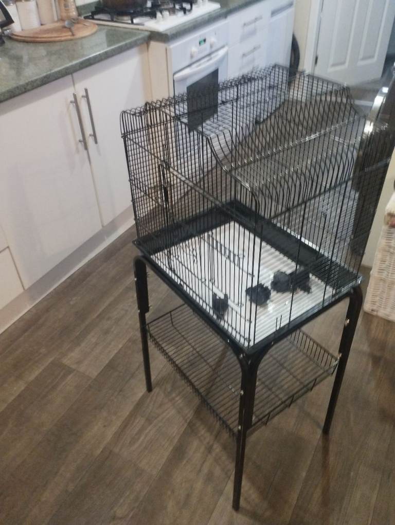 Bird cage 