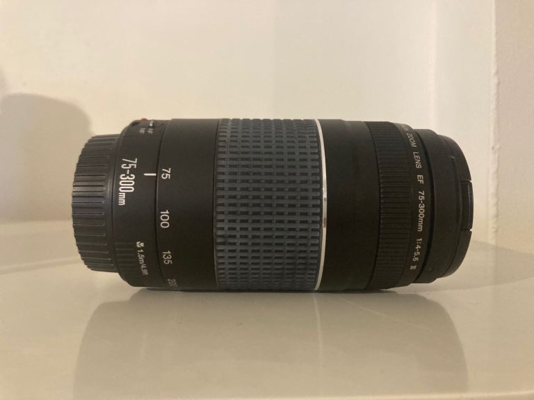 Canon 75-300mm Lens