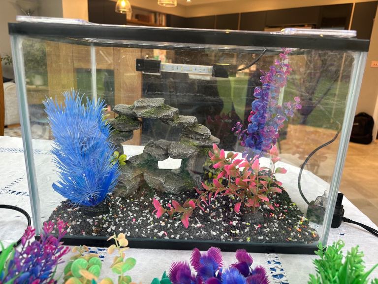 Aquarium Starter Kit 24 Litres