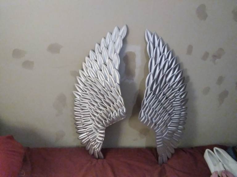  angel wings    £20
