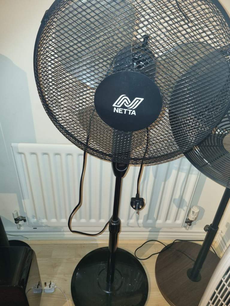 Netta Pedestal fan with remote