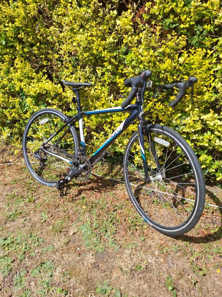 Adventure Ostro aluminum road bike in Size Small