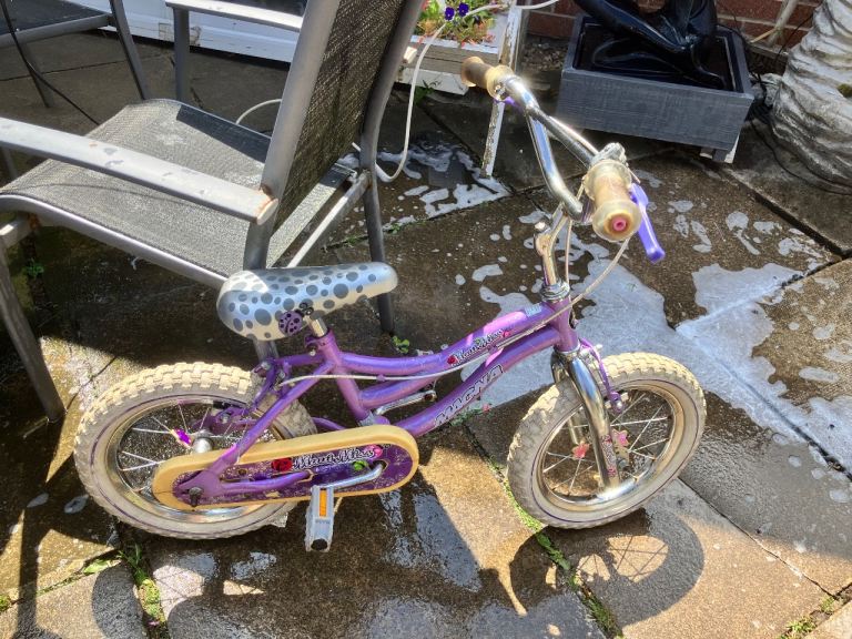 Girls 14-inch Magna Kids Bike, Purple