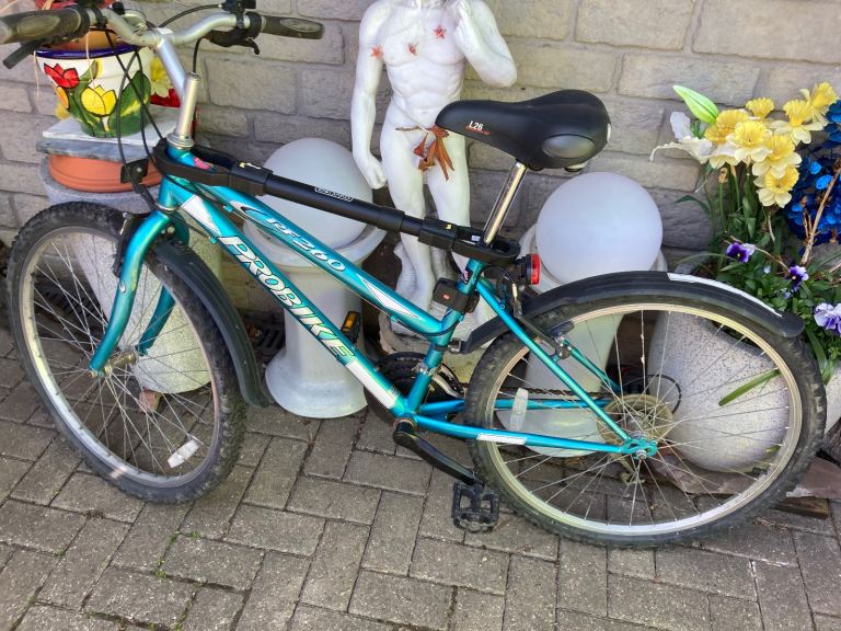 Ladies Probike CRF 260