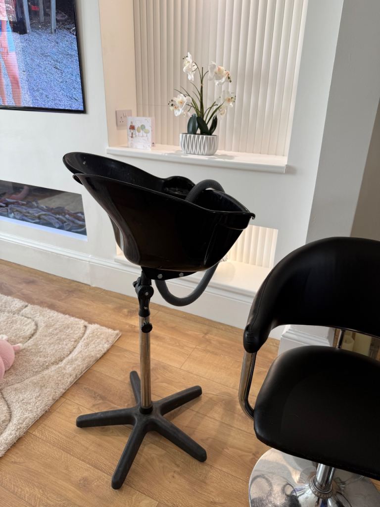 Portable backwash and salon chair 