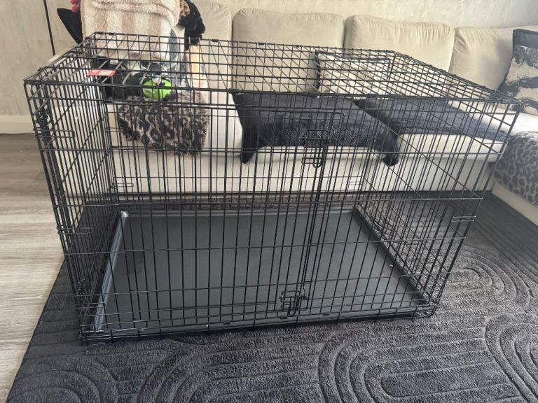 XL kong animal crate 