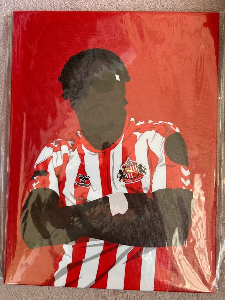 40 x 30 mayenda canvas brand new 