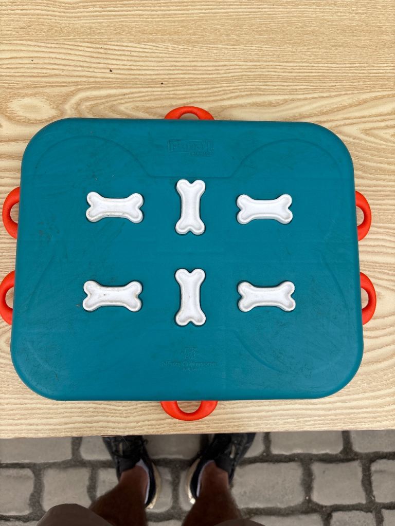 Dog Intelligence Toy