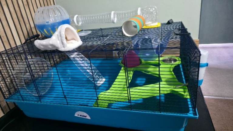 large hamster cage