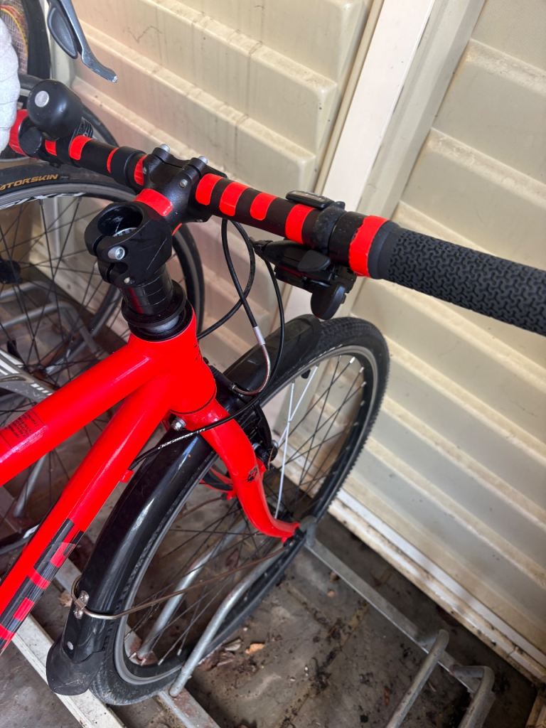 Red children mountain frog bike