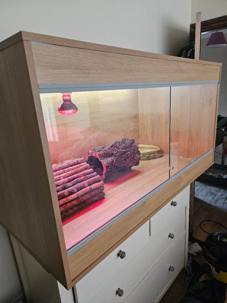 4ft ×2 ft ×2ft Vivexotic Vivarium full set up