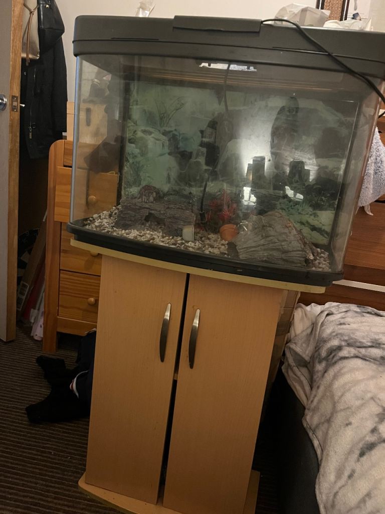 Fish tank and stand