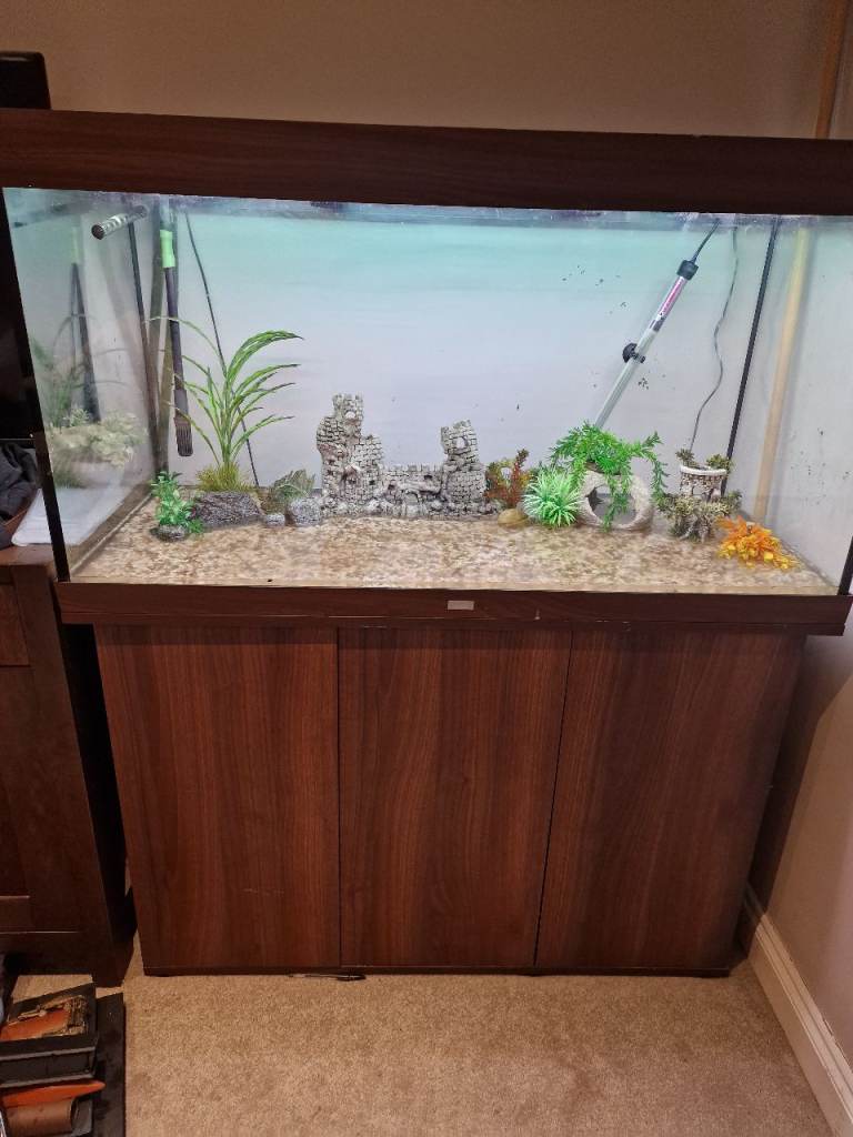 Juwel Rio 300 Full Setup