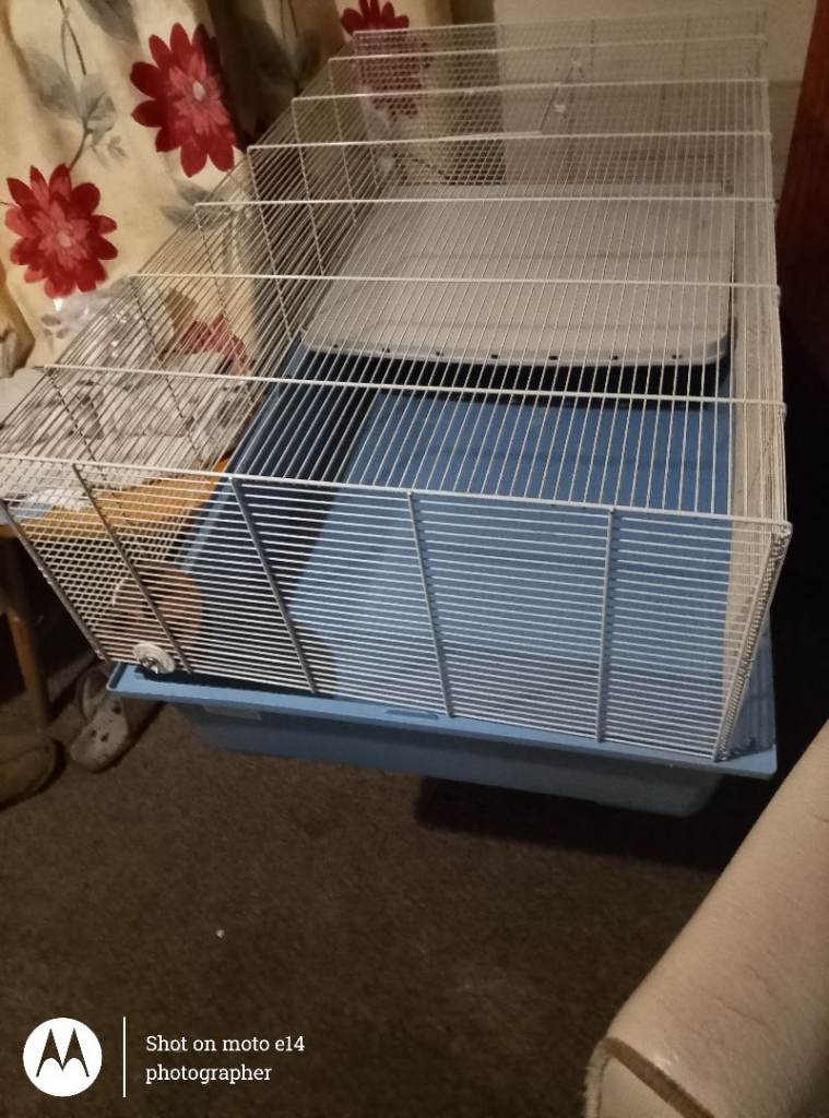 Mice hamster cage 
