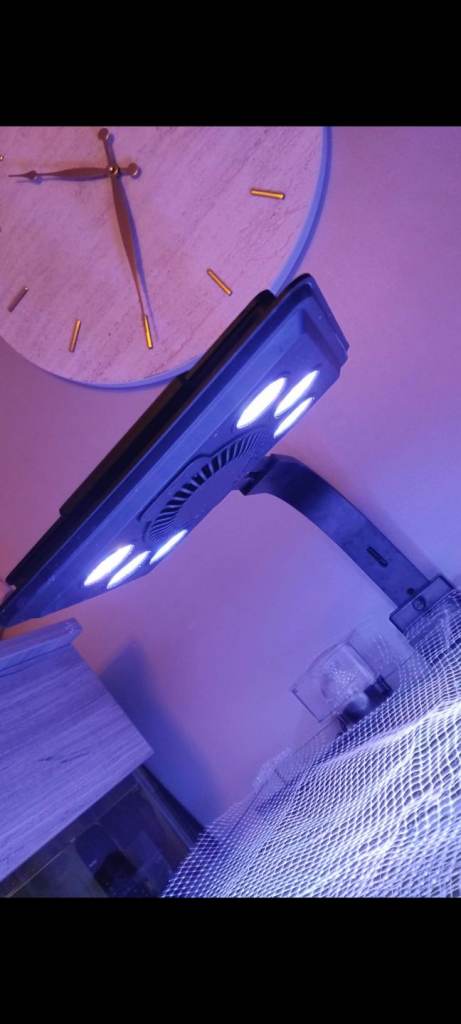 Maxspect Jump MJ-L260 Blue LED