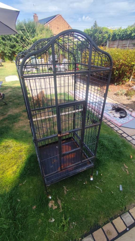 Parrot cage 