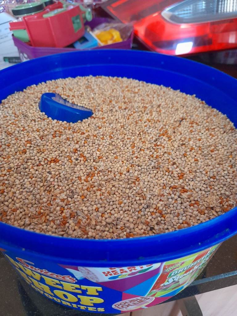 Millet seed