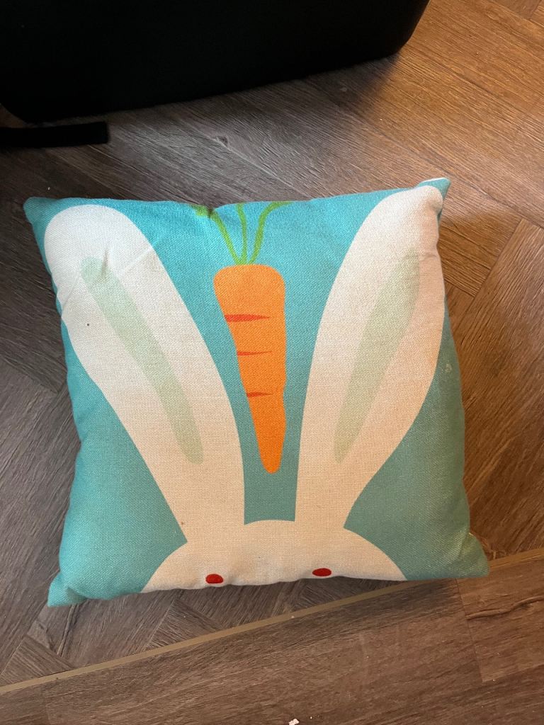 Set of 4 Kids bedroom cushions
