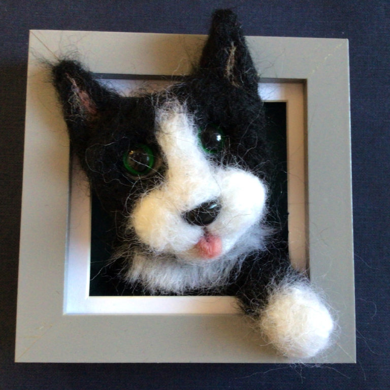 Cat picture