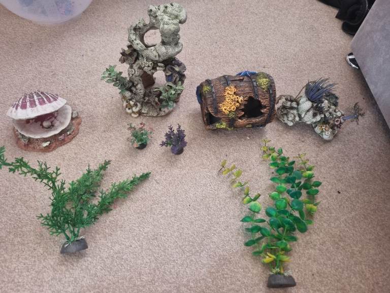 Aquarium accessories 
