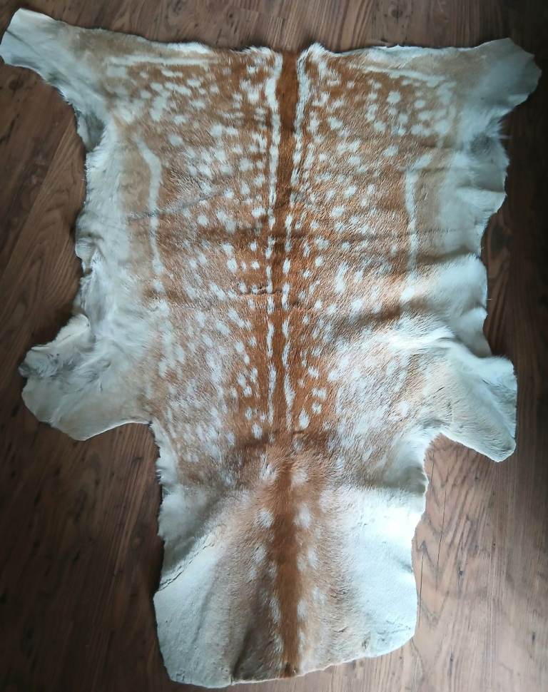 A Vintage Fallow Deer hide from the 1970s