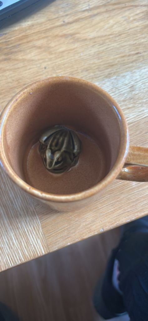 Vintage frog cup