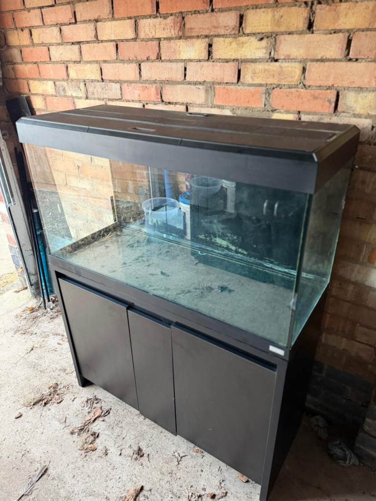 Fluval Roma 200 Black fish tank aquarium tropical setup delivery 🚚 | in ...