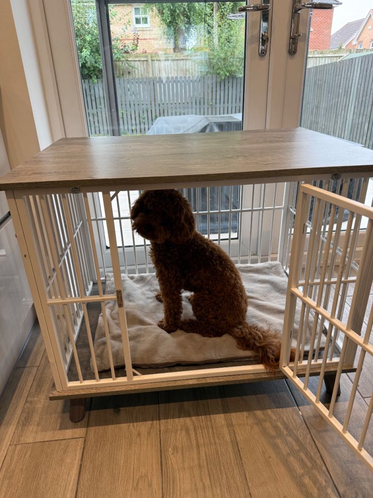 Stylish Wooden Dog Crate with Metal Bars
