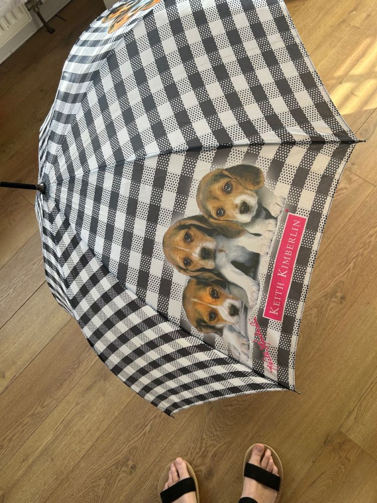 Beagle umbrella by Keith kimberlin