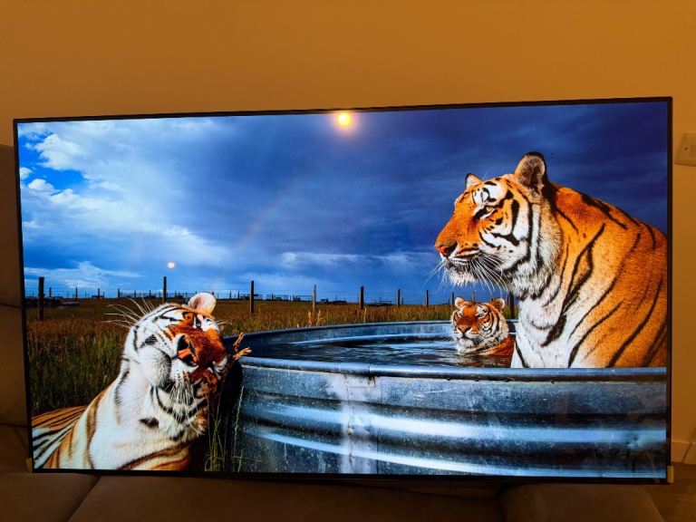 Lg 55” oled