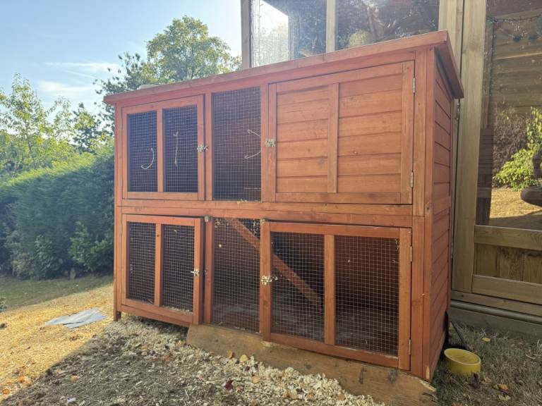Guinea Pig/Rabbit Hutch