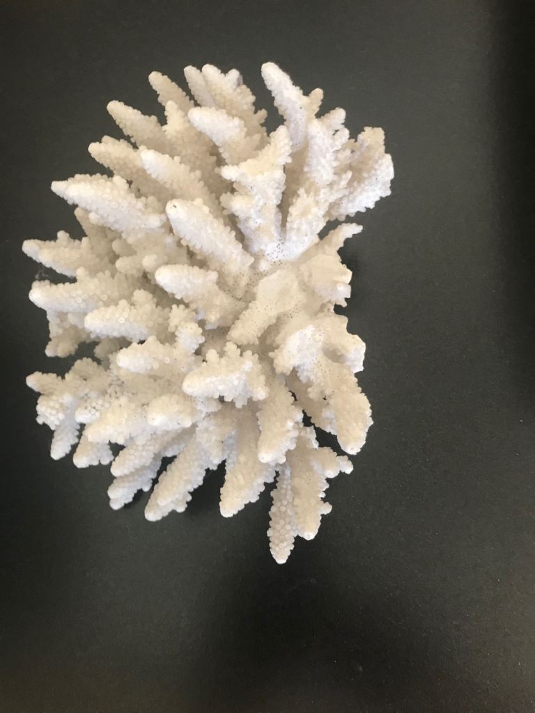 Second-Hand Aquariums for Sale in Pontypool, Torfaen | Gumtree