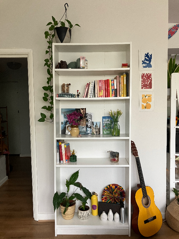 Large IKEA bookshelf