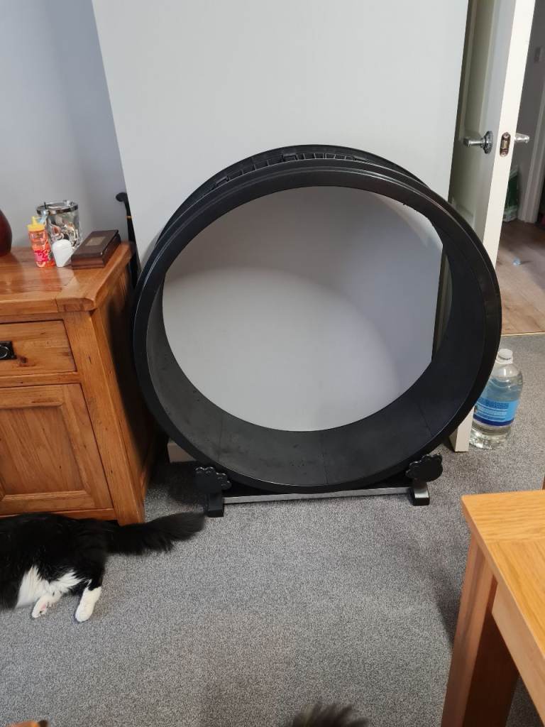 Catwheel