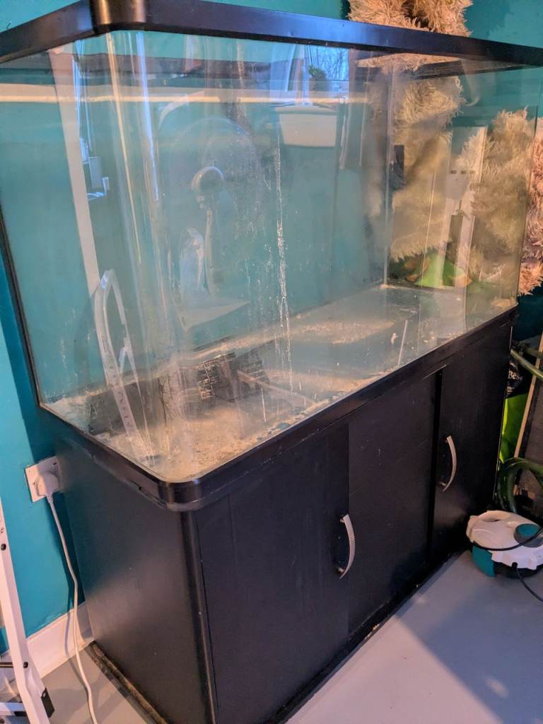 300 litre fish tank 
