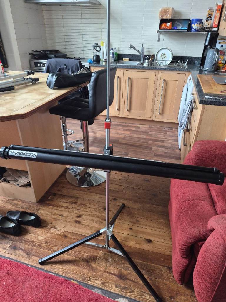 Vintage Projection Screen 