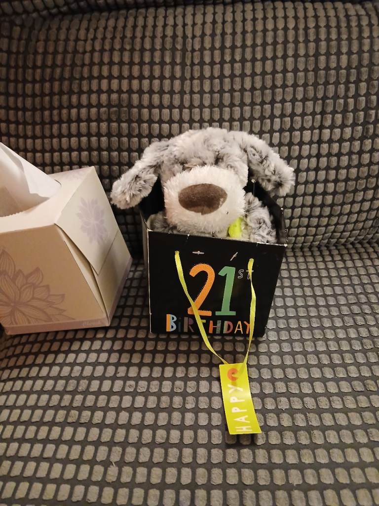 21st gift teddy in a bag