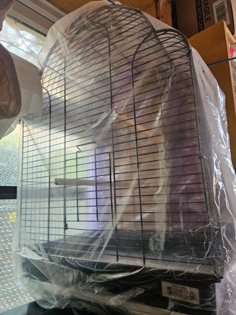 New bird cage
