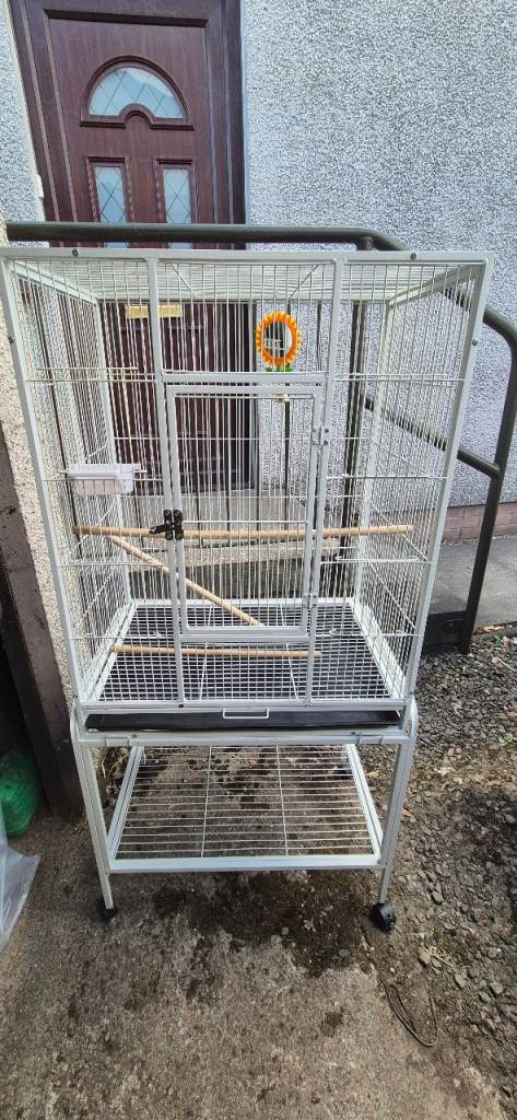 Bird cage 