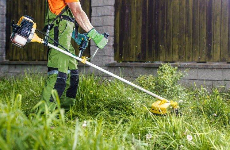 Long Grass Cut/Garden Tidy Up's