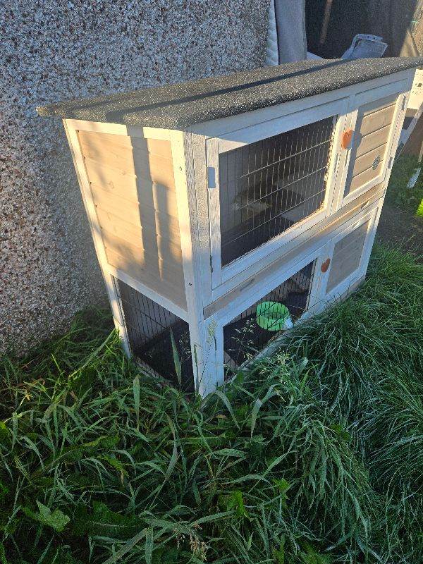 Rabbit hutch 