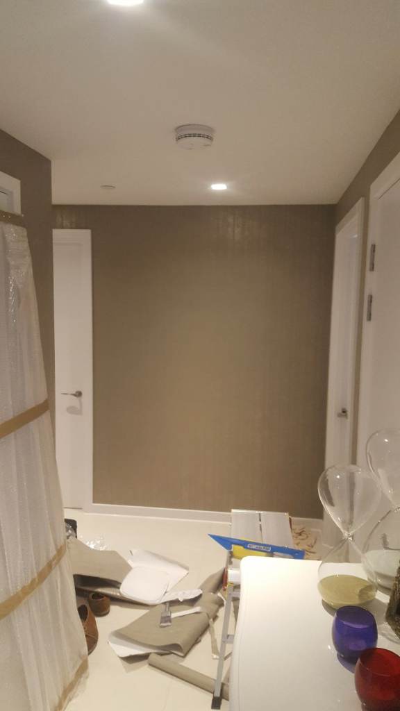 Professional painter and decorator 