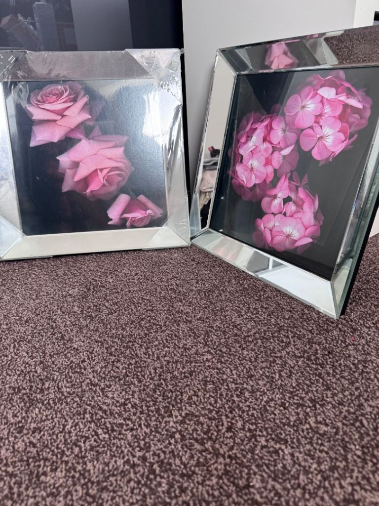Pink flower pictures with mirrored frames