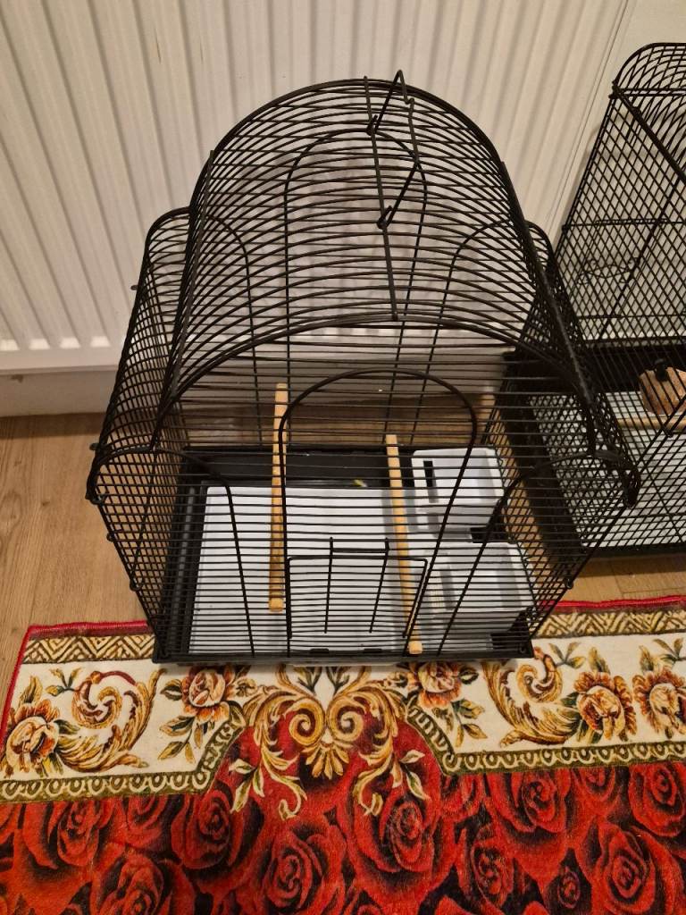 Budgies cage