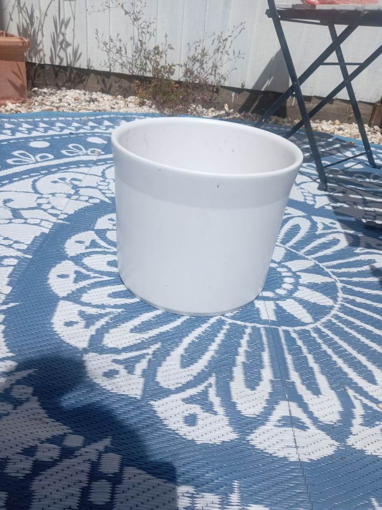 Free - Large White Plant Pot 