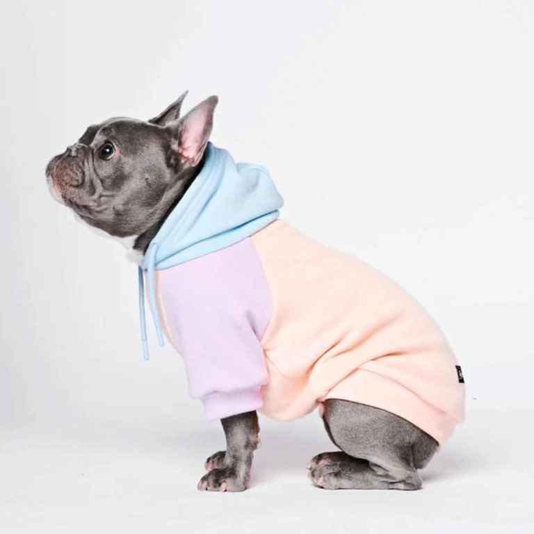 Brand New Spark Paws Cotton Candy Dog Hoodie - Size M