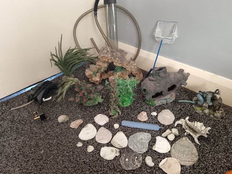 Fish tank ornaments and accessories 