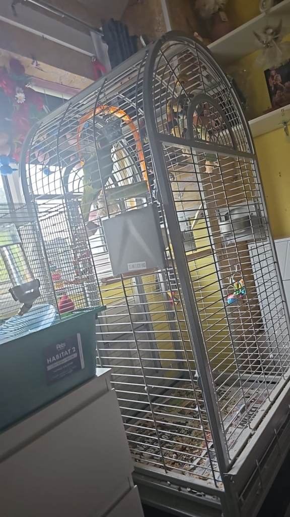 Large Metal Bird Cage with Perch and Toys